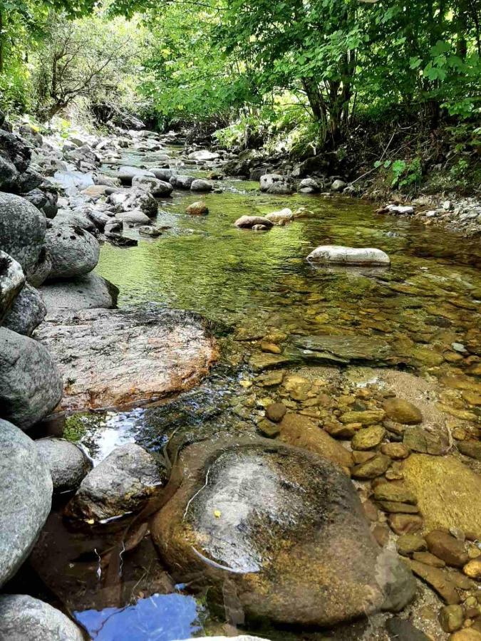 Resort Biela Skala - Chata Chopok Jasna Juh Bystrá المظهر الخارجي الصورة