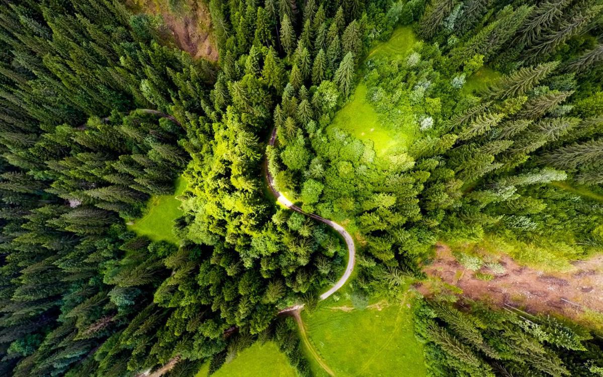 Resort Biela Skala - Chata Chopok Jasna Juh Bystrá المظهر الخارجي الصورة